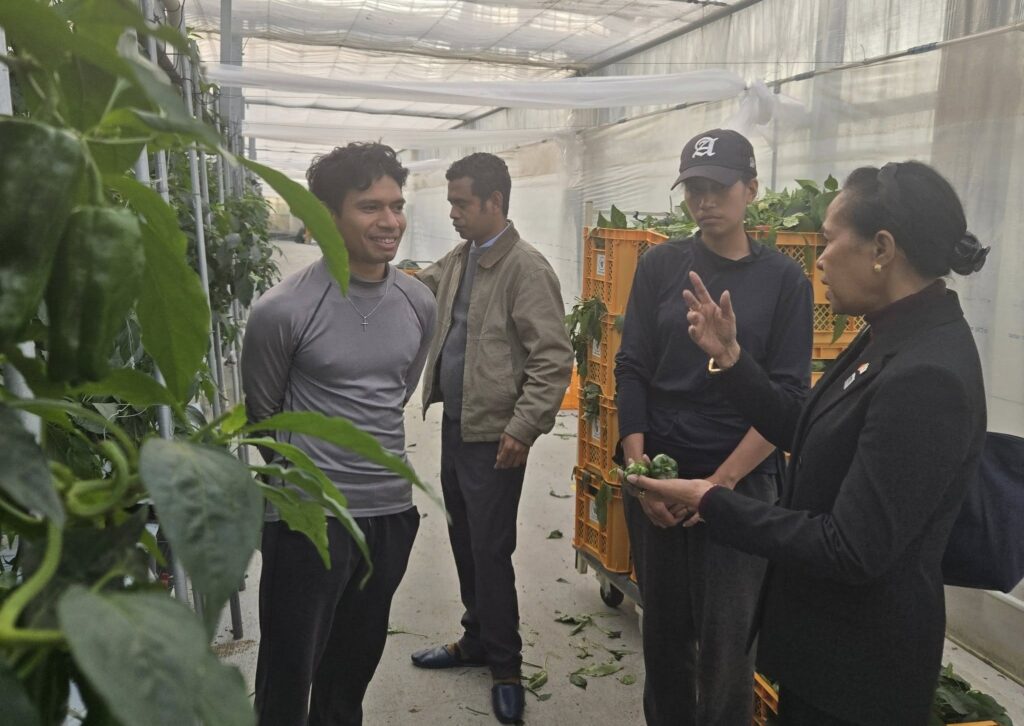 meeting local authorities and Timorese youth workers