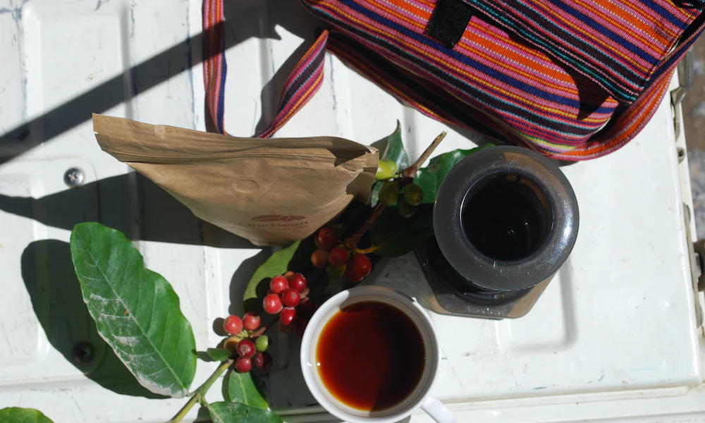 Timor-Leste Specialty Coffee