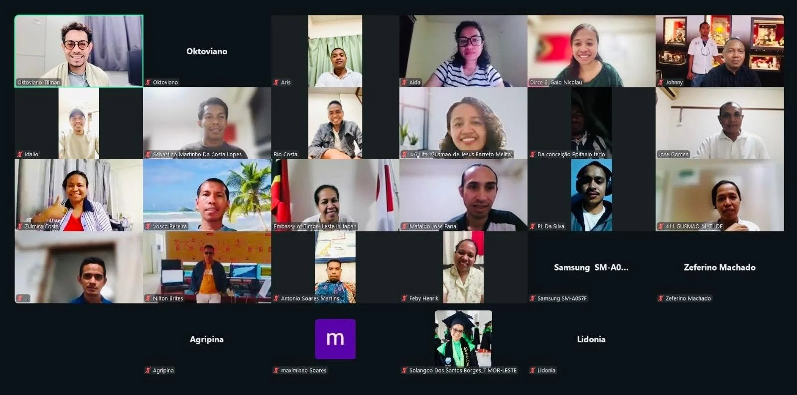 Ambassador Viegas at the AETJ Webinar, June 2026